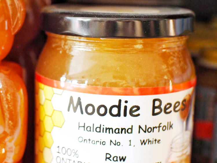 Moodie Bear Honey